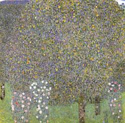 Gustav Klimt Rose Bushes Under the Trees France oil painting art